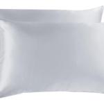 Brand New Royal Comfort Mulberry Silk Pillow Case Twin Pack - Silver