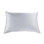 Brand New Royal Comfort Mulberry Silk Pillow Case Twin Pack - Silver