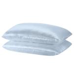 Brand New Royal Comfort Mulberry Silk Pillow Case Twin Pack - Silver